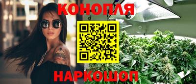 mdpv Можга