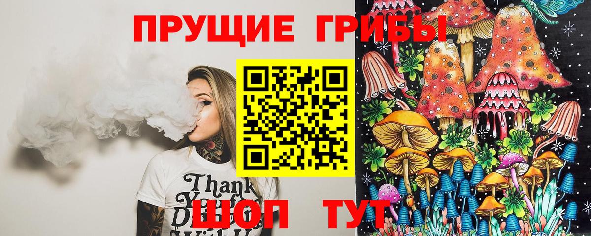 Видное  Псилоцибиновые грибы мицелий  Вход с VPN 